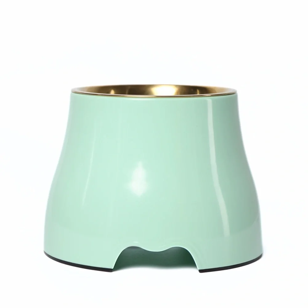 Elevated Gold Stainless Steel Dog Pet Bowl Mint Green Raises